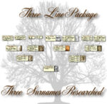 Three Line Family Tree Research Package